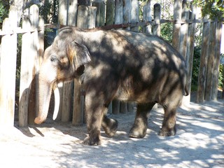 Filename=100_2701.JPG
Filesize=1762KiB
Dimensions=2832x2128
Date added=Sep 28, 2019 100_2701.JPG