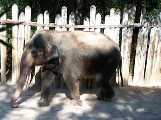 Filename=100_2704.JPG
Filesize=1731KiB
Dimensions=2832x2128
Date added=Sep 28, 2019 100_2704.JPG