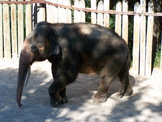 Filename=100_2705.JPG
Filesize=1530KiB
Dimensions=2832x2128
Date added=Sep 28, 2019 100_2705.JPG