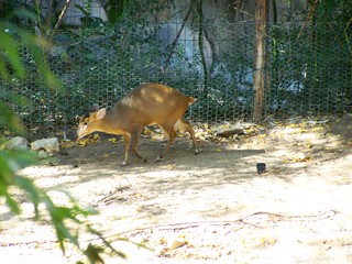 Filename=100_2710.JPG
Filesize=1892KiB
Dimensions=2832x2128
Date added=Sep 28, 2019 100_2710.JPG