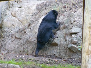 Filename=100_2723.JPG
Filesize=2185KiB
Dimensions=2832x2128
Date added=Sep 28, 2019 100_2723.JPG