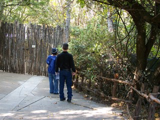 Filename=100_2724.JPG
Filesize=2405KiB
Dimensions=2832x2128
Date added=Sep 28, 2019 100_2724.JPG