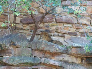 Filename=100_2729.JPG
Filesize=1816KiB
Dimensions=2832x2128
Date added=Sep 28, 2019 100_2729.JPG