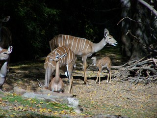 Filename=100_2749.JPG
Filesize=1571KiB
Dimensions=2832x2128
Date added=Sep 28, 2019 100_2749.JPG