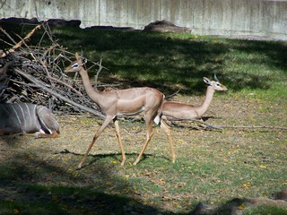 Filename=100_2753.JPG
Filesize=2145KiB
Dimensions=2832x2128
Date added=Sep 28, 2019 100_2753.JPG