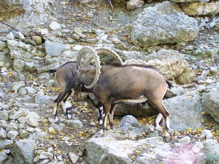 Filename=100_2755.JPG
Filesize=2313KiB
Dimensions=2832x2128
Date added=Sep 28, 2019 100_2755.JPG