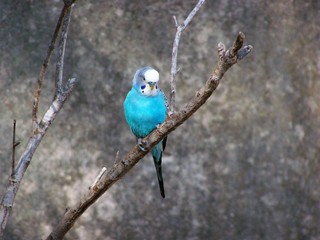 Filename=100_2762.JPG
Filesize=1717KiB
Dimensions=2832x2128
Date added=Sep 28, 2019 100_2762.JPG