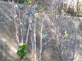 Filename=100_2763.JPG
Filesize=2576KiB
Dimensions=2832x2128
Date added=Sep 28, 2019 100_2763.JPG