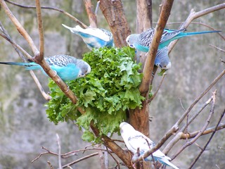 Filename=100_2769.JPG
Filesize=1613KiB
Dimensions=2832x2128
Date added=Sep 28, 2019 100_2769.JPG