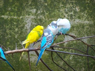 Filename=100_2773.JPG
Filesize=2019KiB
Dimensions=2832x2128
Date added=Sep 28, 2019 100_2773.JPG