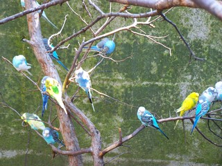 Filename=100_2774.JPG
Filesize=1965KiB
Dimensions=2832x2128
Date added=Sep 28, 2019 100_2774.JPG