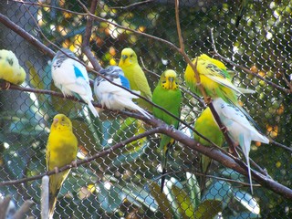 Filename=100_2776.JPG
Filesize=2172KiB
Dimensions=2832x2128
Date added=Sep 28, 2019 100_2776.JPG