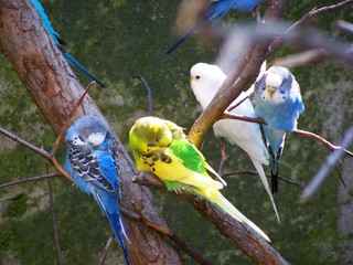 Filename=100_2777.JPG
Filesize=1968KiB
Dimensions=2832x2128
Date added=Sep 28, 2019 100_2777.JPG