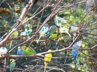 Filename=100_2780.JPG
Filesize=1911KiB
Dimensions=2832x2128
Date added=Sep 28, 2019 100_2780.JPG