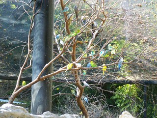 Filename=100_2781.JPG
Filesize=2966KiB
Dimensions=2832x2128
Date added=Sep 28, 2019 100_2781.JPG