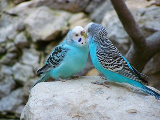 Filename=100_2784.JPG
Filesize=1548KiB
Dimensions=2832x2128
Date added=Sep 28, 2019 100_2784.JPG