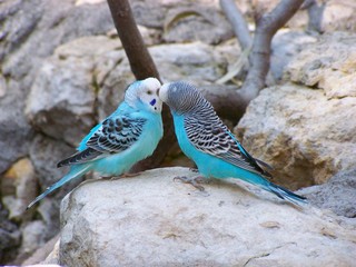 Filename=100_2785.JPG
Filesize=1465KiB
Dimensions=2832x2128
Date added=Sep 28, 2019 100_2785.JPG