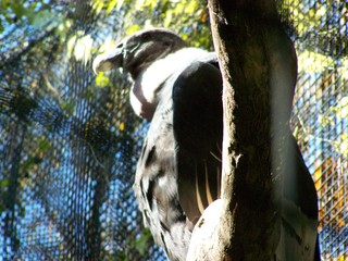 Filename=100_2789.JPG
Filesize=1768KiB
Dimensions=2832x2128
Date added=Sep 28, 2019 100_2789.JPG