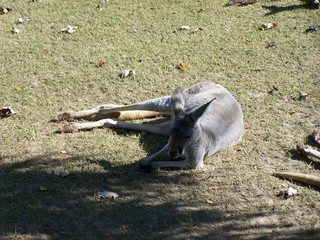 Filename=100_2794.JPG
Filesize=2512KiB
Dimensions=2832x2128
Date added=Sep 28, 2019 100_2794.JPG