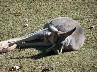 Filename=100_2795.JPG
Filesize=2947KiB
Dimensions=2832x2128
Date added=Sep 28, 2019 100_2795.JPG