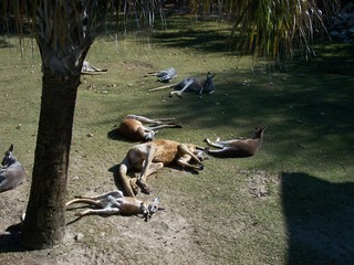 Filename=100_2798.JPG
Filesize=2138KiB
Dimensions=2832x2128
Date added=Sep 28, 2019 100_2798.JPG