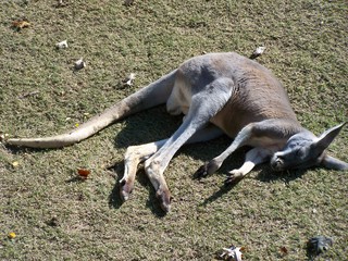 Filename=100_2799.JPG
Filesize=3035KiB
Dimensions=2832x2128
Date added=Sep 28, 2019 100_2799.JPG