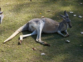 Filename=100_2800.JPG
Filesize=2721KiB
Dimensions=2832x2128
Date added=Sep 28, 2019 100_2800.JPG