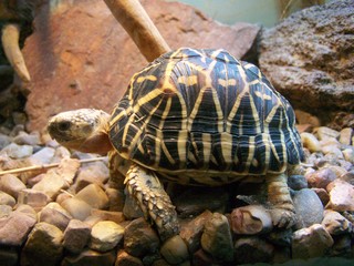 Filename=100_2808.JPG
Filesize=1736KiB
Dimensions=2832x2128
Date added=Sep 28, 2019 100_2808.JPG