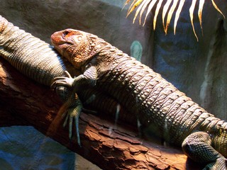 Filename=100_2812.JPG
Filesize=2004KiB
Dimensions=2832x2128
Date added=Sep 28, 2019 100_2812.JPG