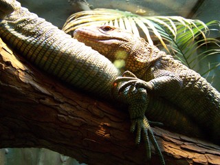 Filename=100_2813.JPG
Filesize=1872KiB
Dimensions=2832x2128
Date added=Sep 28, 2019 100_2813.JPG