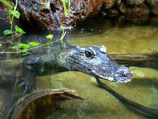 Filename=100_2816.JPG
Filesize=1942KiB
Dimensions=2832x2128
Date added=Sep 28, 2019 100_2816.JPG