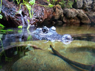 Filename=100_2817.JPG
Filesize=1883KiB
Dimensions=2832x2128
Date added=Sep 28, 2019 100_2817.JPG