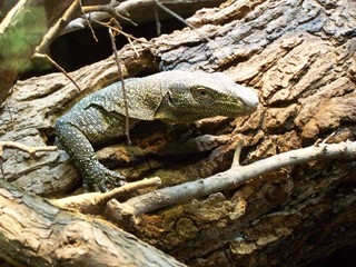 Filename=100_2822.JPG
Filesize=1976KiB
Dimensions=2832x2128
Date added=Sep 28, 2019 100_2822.JPG