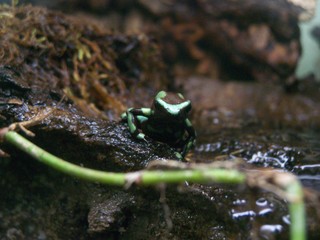 Filename=100_2829.JPG
Filesize=1795KiB
Dimensions=2832x2128
Date added=Sep 28, 2019 100_2829.JPG