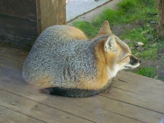 Filename=100_2831.JPG
Filesize=1855KiB
Dimensions=2832x2128
Date added=Sep 28, 2019 100_2831.JPG