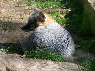 Filename=100_2832.JPG
Filesize=1807KiB
Dimensions=2832x2128
Date added=Sep 28, 2019 100_2832.JPG