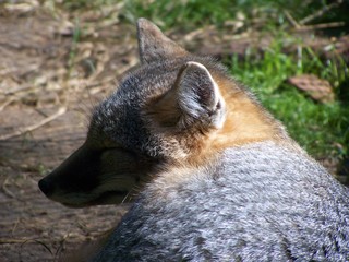 Filename=100_2833.JPG
Filesize=1782KiB
Dimensions=2832x2128
Date added=Sep 28, 2019 100_2833.JPG