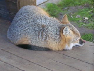 Filename=100_2834.JPG
Filesize=1757KiB
Dimensions=2832x2128
Date added=Sep 28, 2019 100_2834.JPG