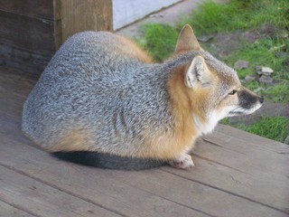 Filename=100_2835.JPG
Filesize=1759KiB
Dimensions=2832x2128
Date added=Sep 28, 2019 100_2835.JPG