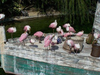 Filename=100_2841.JPG
Filesize=1736KiB
Dimensions=2832x2128
Date added=Sep 28, 2019 100_2841.JPG