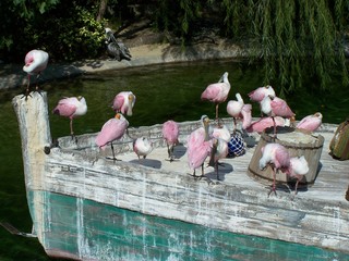 Filename=100_2842.JPG
Filesize=1672KiB
Dimensions=2832x2128
Date added=Sep 28, 2019 100_2842.JPG