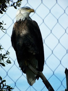 Filename=100_2857.JPG
Filesize=1190KiB
Dimensions=2128x2832
Date added=Sep 28, 2019 100_2857.JPG