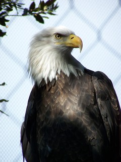 Filename=100_2861.JPG
Filesize=788KiB
Dimensions=2128x2832
Date added=Sep 28, 2019 100_2861.JPG