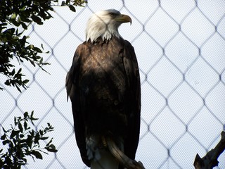 Filename=100_2864.JPG
Filesize=1291KiB
Dimensions=2832x2128
Date added=Sep 28, 2019 100_2864.JPG