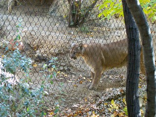 Filename=100_2868.JPG
Filesize=2614KiB
Dimensions=2832x2128
Date added=Sep 28, 2019 100_2868.JPG