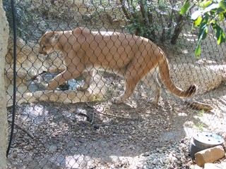 Filename=100_2872.JPG
Filesize=2629KiB
Dimensions=2832x2128
Date added=Sep 28, 2019 100_2872.JPG