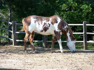 Filename=100_2882.JPG
Filesize=2307KiB
Dimensions=2832x2128
Date added=Sep 28, 2019 100_2882.JPG