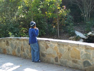 Filename=100_2892.JPG
Filesize=1960KiB
Dimensions=2832x2128
Date added=Sep 28, 2019 100_2892.JPG