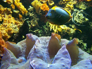 Filename=100_3377.JPG
Filesize=1967KiB
Dimensions=2832x2128
Date added=Sep 28, 2019 100_3377.JPG