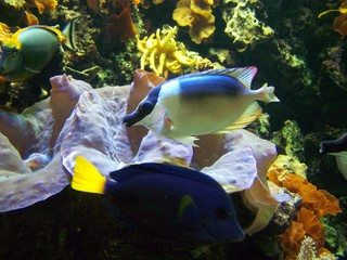 Filename=100_3378.JPG
Filesize=1929KiB
Dimensions=2832x2128
Date added=Sep 28, 2019 100_3378.JPG